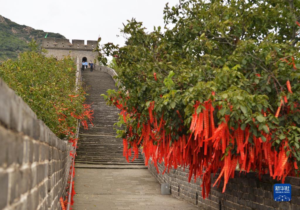 澳门新匍京怎么下载